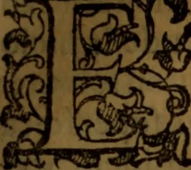 An illustration from De medica historia mirabili libri sex, 1586, leaf 294
