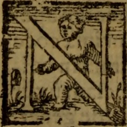 An illustration from De medica historia mirabili libri sex, 1586, leaf 297