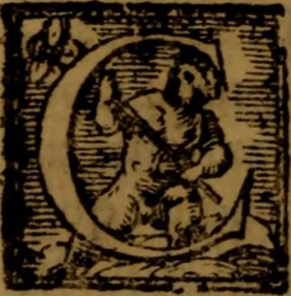 An illustration from De medica historia mirabili libri sex, 1586, leaf 307