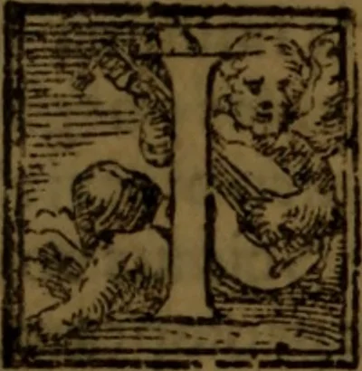 An illustration from De medica historia mirabili libri sex, 1586, leaf 330