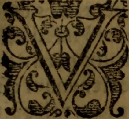 An illustration from De medica historia mirabili libri sex, 1586, leaf 332