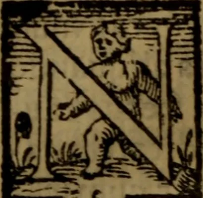 An illustration from De medica historia mirabili libri sex, 1586, leaf 337