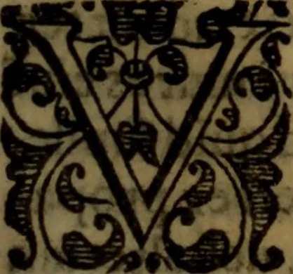 An illustration from De medica historia mirabili libri sex, 1586, leaf 346