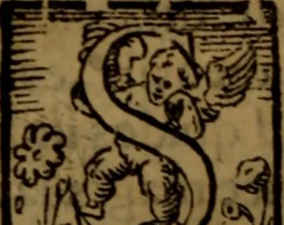 An illustration from De medica historia mirabili libri sex, 1586, leaf 369