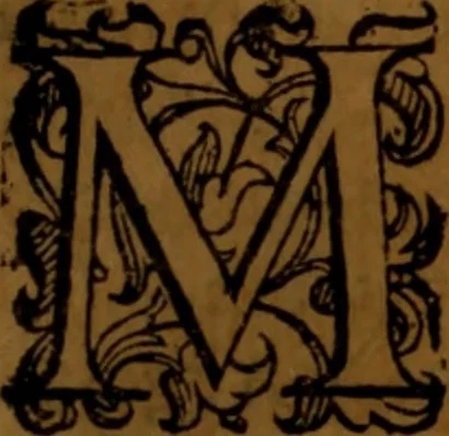 An illustration from De medica historia mirabili libri sex, 1586, leaf 396