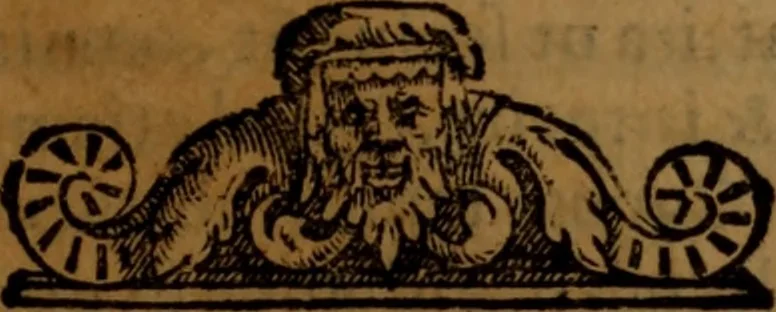 An illustration from De medica historia mirabili libri sex, 1586, leaf 428