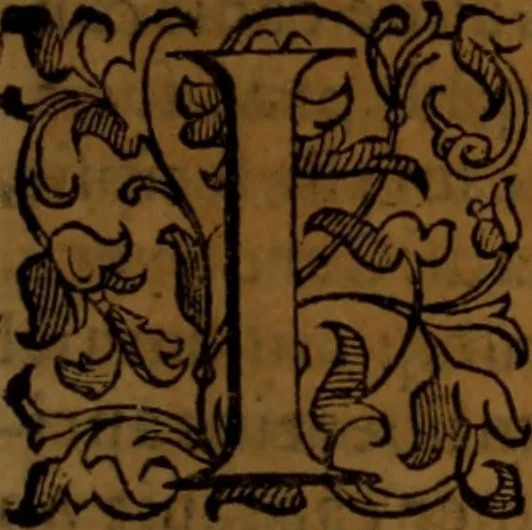 An illustration from De medica historia mirabili libri sex, 1586, leaf 428
