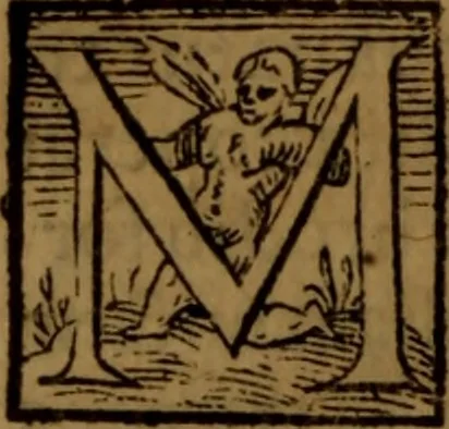 An illustration from De medica historia mirabili libri sex, 1586, leaf 441