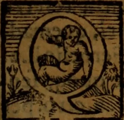 An illustration from De medica historia mirabili libri sex, 1586, leaf 454