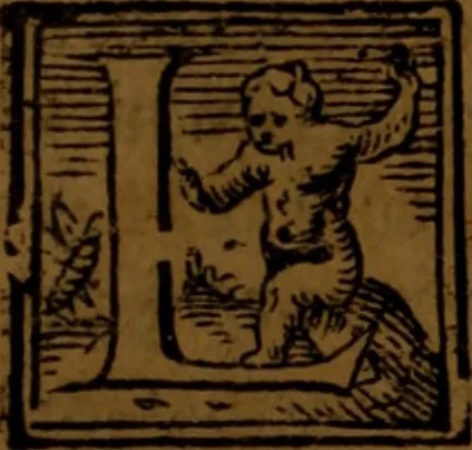An illustration from De medica historia mirabili libri sex, 1586, leaf 46