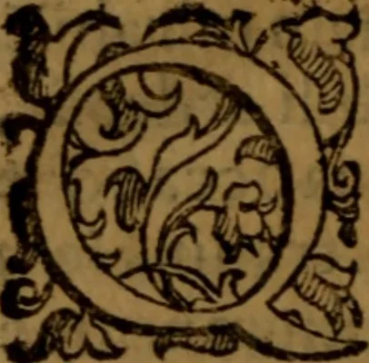 An illustration from De medica historia mirabili libri sex, 1586, leaf 467