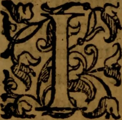 An illustration from De medica historia mirabili libri sex, 1586, leaf 49