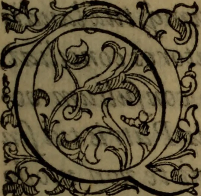 An illustration from De medica historia mirabili libri sex, 1586, leaf 6