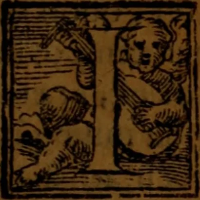 An illustration from De medica historia mirabili libri sex, 1586, leaf 74