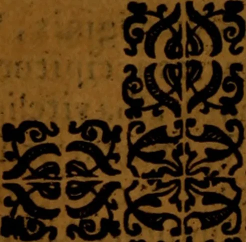 An illustration from De medica historia mirabili libri sex, 1586, leaf 81