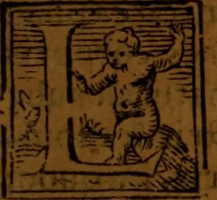 An illustration from De medica historia mirabili libri sex, 1586, leaf 82