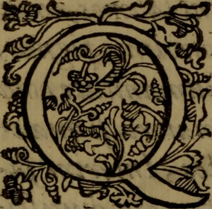 An illustration from De medica historia mirabili libri sex, 1586, leaf 9