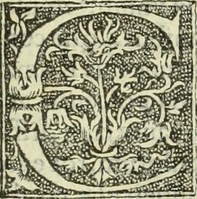 An illustration from De memorabilibus et claris mulieribus : Aliquot diversorum scriptorum opera, 1521, leaf 104