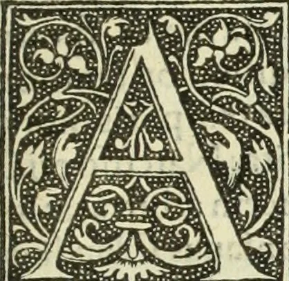 An illustration from De memorabilibus et claris mulieribus : Aliquot diversorum scriptorum opera, 1521, leaf 110