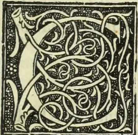 An illustration from De memorabilibus et claris mulieribus : Aliquot diversorum scriptorum opera, 1521, leaf 14