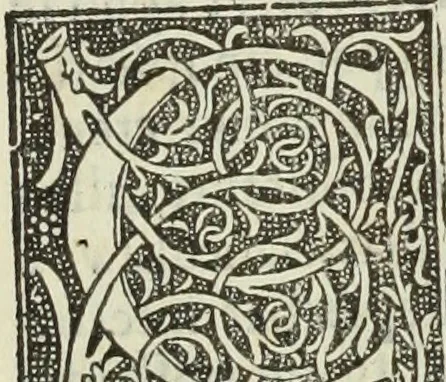 An illustration from De memorabilibus et claris mulieribus : Aliquot diversorum scriptorum opera, 1521, leaf 15