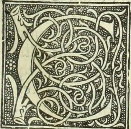 An illustration from De memorabilibus et claris mulieribus : Aliquot diversorum scriptorum opera, 1521, leaf 18
