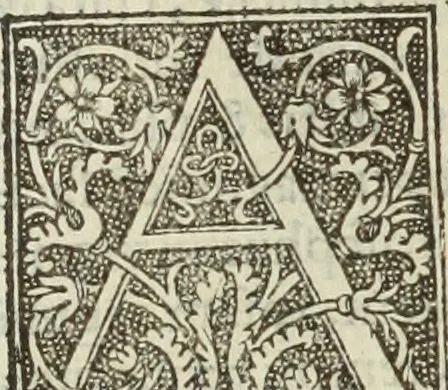 An illustration from De memorabilibus et claris mulieribus : Aliquot diversorum scriptorum opera, 1521, leaf 207