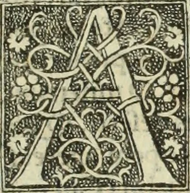 An illustration from De memorabilibus et claris mulieribus : Aliquot diversorum scriptorum opera, 1521, leaf 288