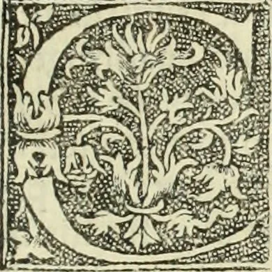 An illustration from De memorabilibus et claris mulieribus : Aliquot diversorum scriptorum opera, 1521, leaf 298