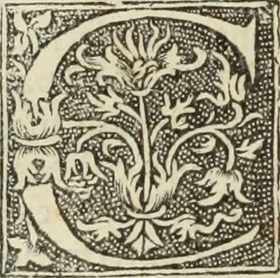 An illustration from De memorabilibus et claris mulieribus : Aliquot diversorum scriptorum opera, 1521, leaf 309