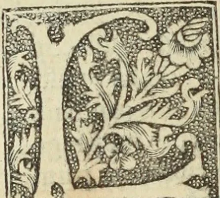 An illustration from De memorabilibus et claris mulieribus : Aliquot diversorum scriptorum opera, 1521, leaf 311