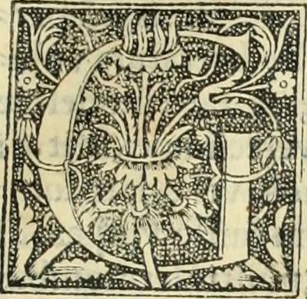 An illustration from De memorabilibus et claris mulieribus : Aliquot diversorum scriptorum opera, 1521, leaf 316