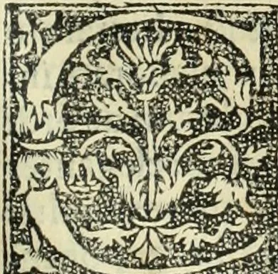 An illustration from De memorabilibus et claris mulieribus : Aliquot diversorum scriptorum opera, 1521, leaf 316