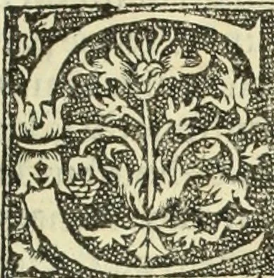 An illustration from De memorabilibus et claris mulieribus : Aliquot diversorum scriptorum opera, 1521, leaf 80