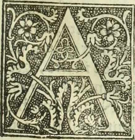 An illustration from De memorabilibus et claris mulieribus : Aliquot diversorum scriptorum opera, 1521, leaf 84