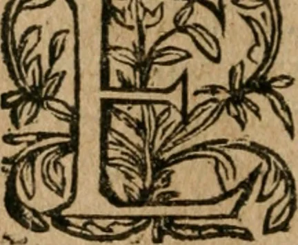 An illustration from De miracvlis occvltis natvrae libri IIII : item, De vita cvm animi et corporis incolvmitate recte institvenda liber vnvs : illi quidem iam postremum emendati, & aliquot capitibus aucti : hic verò nunquam antehac editus, 1583, leaf 313