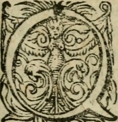 An illustration from De miracvlis occvltis natvrae libri IIII : item, De vita cvm animi et corporis incolvmitate recte institvenda liber vnvs : illi quidem iam postremum emendati, & aliquot capitibus aucti : hic verò nunquam antehac editus, 1583, leaf 378