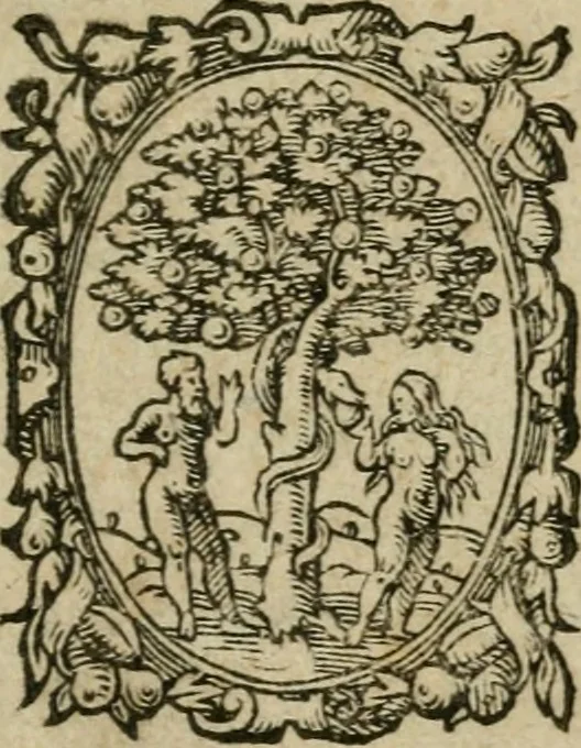 An illustration from De miracvlis occvltis natvrae libri IIII : item, De vita cvm animi et corporis incolvmitate recte institvenda liber vnvs : illi quidem iam postremum emendati, & aliquot capitibus aucti : hic verò nunquam antehac editus, 1583, leaf 4