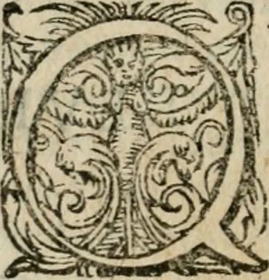 An illustration from De miracvlis occvltis natvrae libri IIII : item, De vita cvm animi et corporis incolvmitate recte institvenda liber vnvs : illi quidem iam postremum emendati, & aliquot capitibus aucti : hic verò nunquam antehac editus, 1583, leaf 527