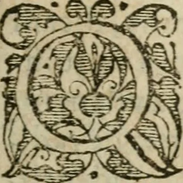 An illustration from De miracvlis occvltis natvrae libri IIII : item, De vita cvm animi et corporis incolvmitate recte institvenda liber vnvs : illi quidem iam postremum emendati, & aliquot capitibus aucti : hic verò nunquam antehac editus, 1583, leaf 698