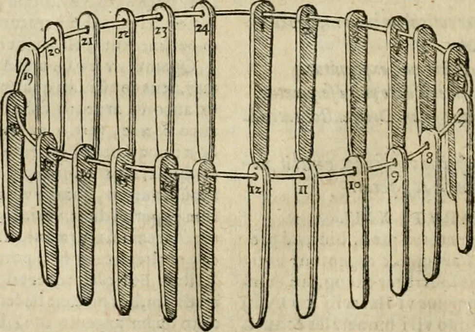 An illustration from De monetis et re nvmaria libri dvo: qvorvm primvs artem cvdendae monetae, secvndvs vero qvaestionvm monetariarvm decisiones continet. His accesservnt tractatvs varii atqve vtiles, necnon consilia, singvlaresqve additiones tam veterum, quàm neotericorum authorum, qui de monetis... scripserunt .., 1591, leaf 133