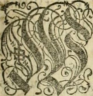 An illustration from De monetis et re nvmaria libri dvo: qvorvm primvs artem cvdendae monetae, secvndvs vero qvaestionvm monetariarvm decisiones continet. His accesservnt tractatvs varii atqve vtiles, necnon consilia, singvlaresqve additiones tam veterum, quàm neotericorum authorum, qui de monetis... scripserunt .., 1591, leaf 200
