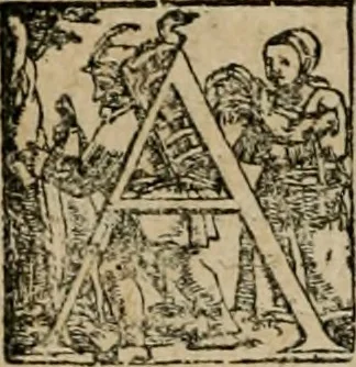 An illustration from De monetis, et re nvmaria, libri dvo... His accesservnt tractatuvs varii ... necnon consilia ... tam veterum quàm neotericorum authorum, qui de monetis ... scripserunt .., 1591, leaf 437