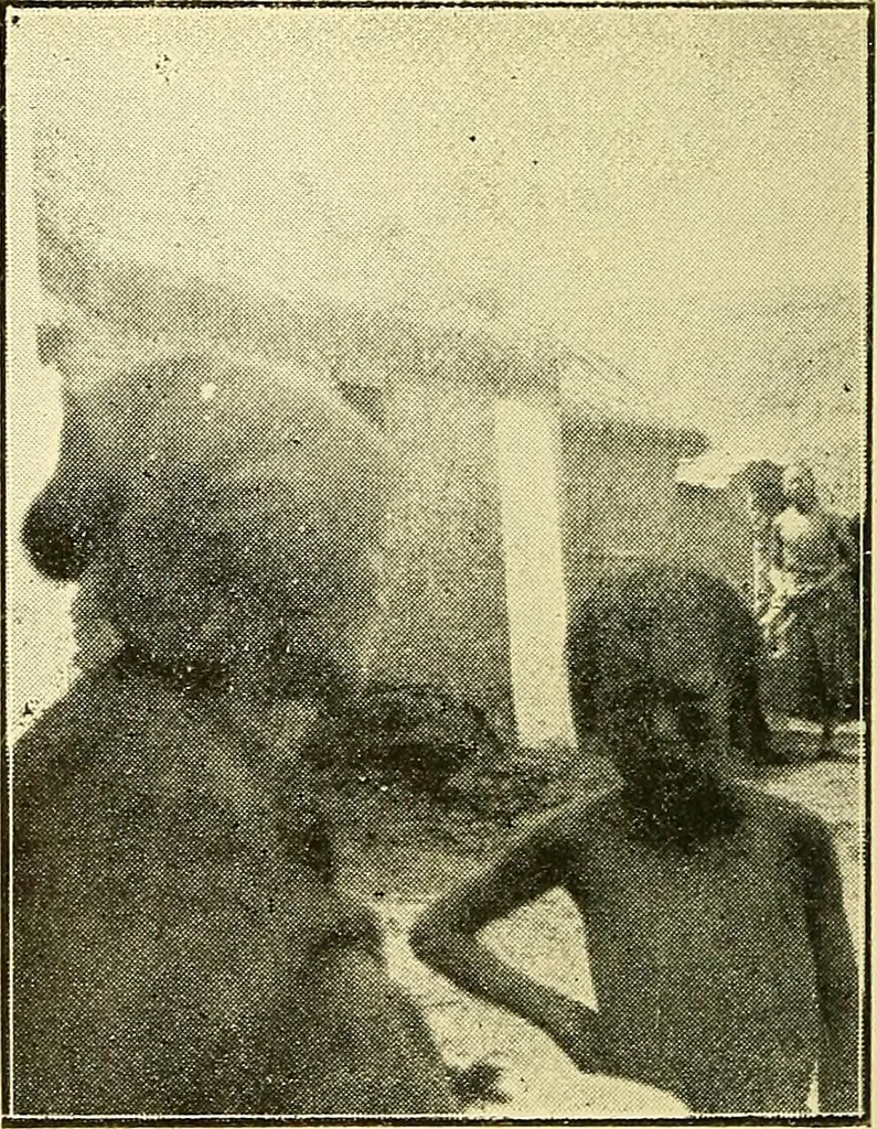 An illustration from Demonism verified and analyzed, 1922, leaf 170