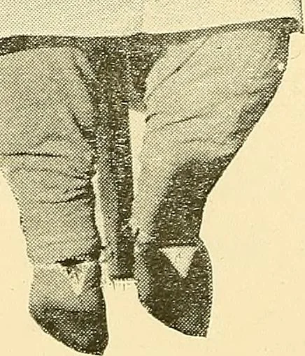 An illustration from Demonism verified and analyzed, 1922, leaf 30