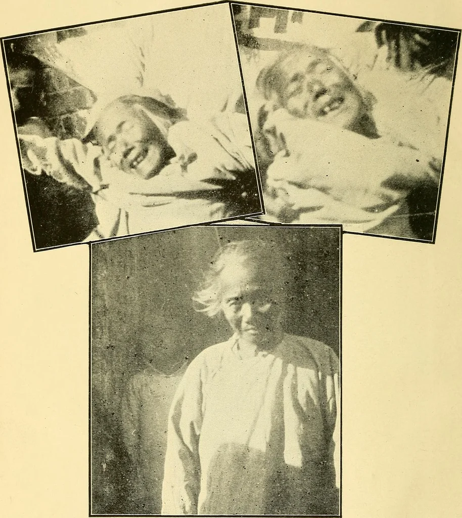 An illustration from Demonism verified and analyzed, 1922, leaf 4