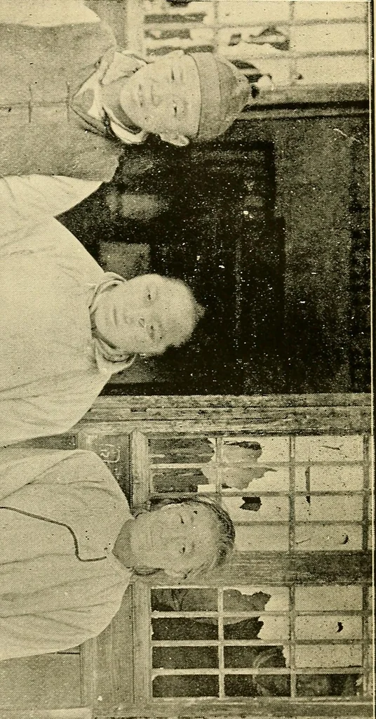 An illustration from Demonism verified and analyzed, 1922, leaf 63