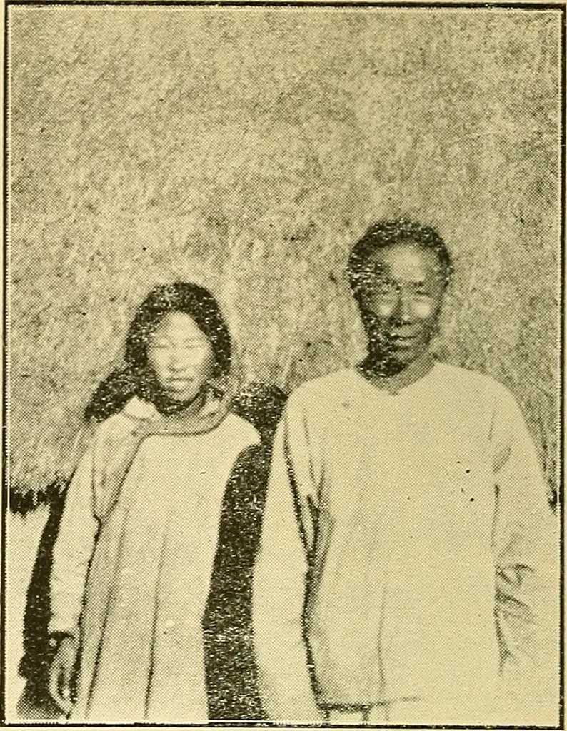 An illustration from Demonism verified and analyzed, 1922, leaf 80