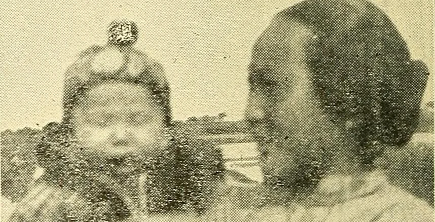 An illustration from Demonism verified and analyzed, 1922, leaf 80