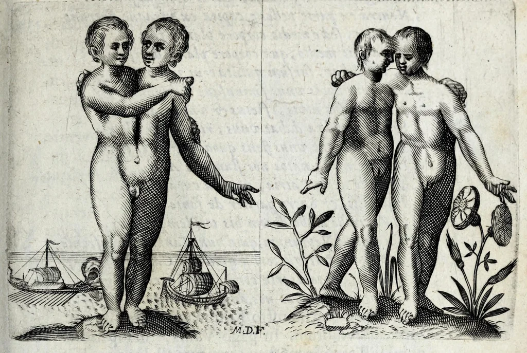 An illustration from De monstrorum caussis, natura, et differentiis libri duo : in quibus ex rei natura monstrorum historiae, caussae, generationes, & differentiae plurimae a sapientibus intactae : cum generatim & in plantarum, & belluarum genere, tum seorsum in humana specie tractantur : multis illustrium autorum locis difficillimis explanatis de masculo parturiente, de feminis in viros mutatis, de hermaphroditorum natura, de dissimilium specierum : venere prolifica, de castratorum fecunditate, depuero lapidescente, de anomantis aurea parte, alijsque admirabilibus, 1634, leaf 107